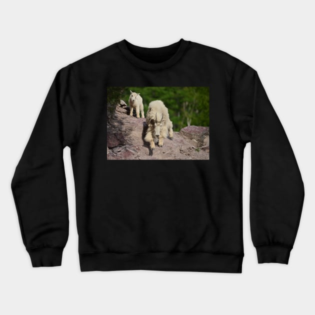 Mountain Goat Nanny and Kid Crewneck Sweatshirt by Whisperingpeaks